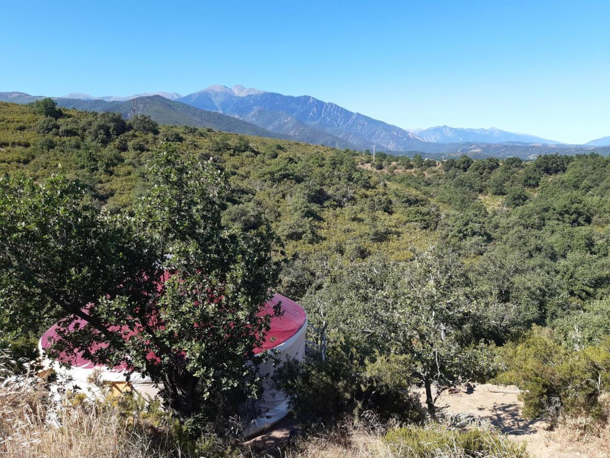 Yourte Contemporaine Avec Magnifique Vue Sur Les Montagnes Rigarda المظهر الخارجي الصورة